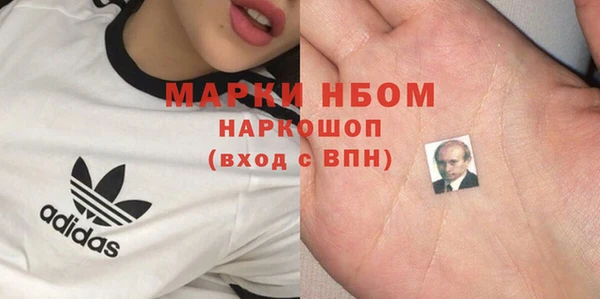 ПСИЛОЦИБИНОВЫЕ ГРИБЫ Алзамай