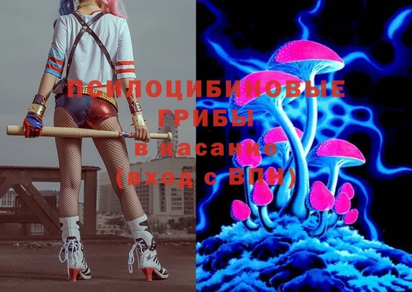 ПСИЛОЦИБИНОВЫЕ ГРИБЫ Алзамай