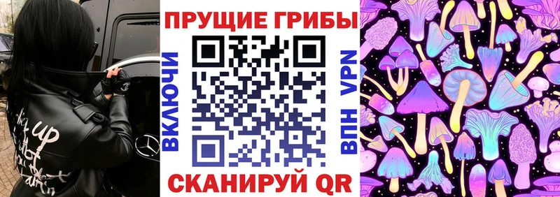 Псилоцибиновые грибы ЛСД  купить закладку  Каменск-Уральский 